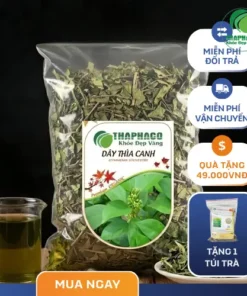 Chỗ Bán Dây Thìa Canh Sấy Khô Giá Rẻ Tại TP.HCM