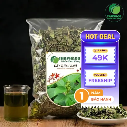 Dây Thìa Canh hỗ trợ sức khỏe