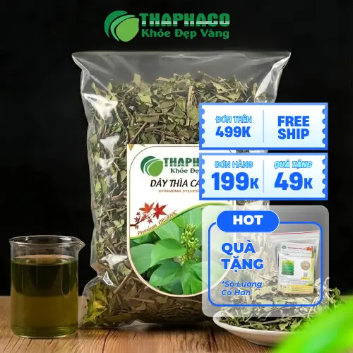 Hình ảnh Dây Thìa Canh tươi