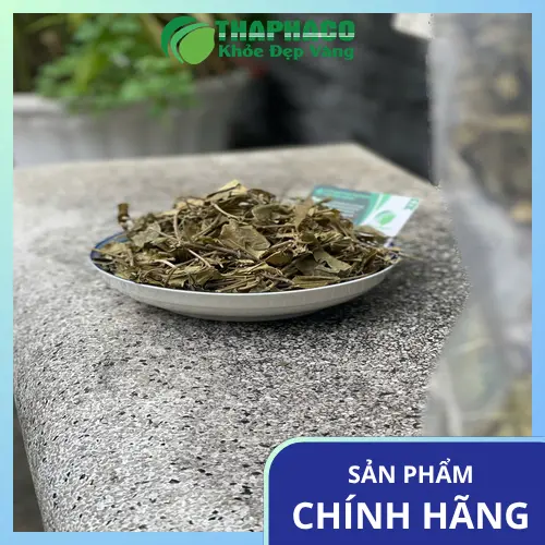 Lợi ích hỗ trợ của Dây Thìa Canh THAPHACO