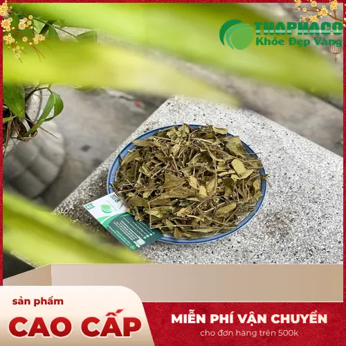 Công dụng hỗ trợ sức khỏe của dây thìa canh