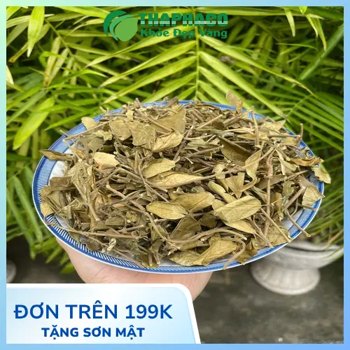 Lá Dây Thìa Canh với hình dáng đặc trưng
