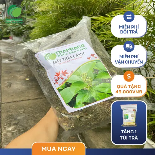 Người dùng lo lắng về tác dụng phụ của Dây Thìa Canh