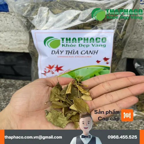 Địa chỉ mua Dây Thìa Canh THAPHACO tại TP.HCM