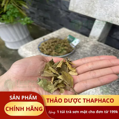 Cách pha trà dây thìa canh đúng cách