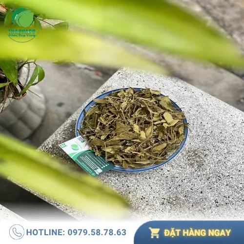 Dây Thìa Canh THAPHACO đồng hành cùng sức khỏe của bạn