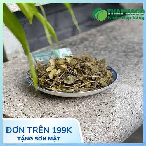 Dây Thìa Canh chất lượng từ THAPHACO