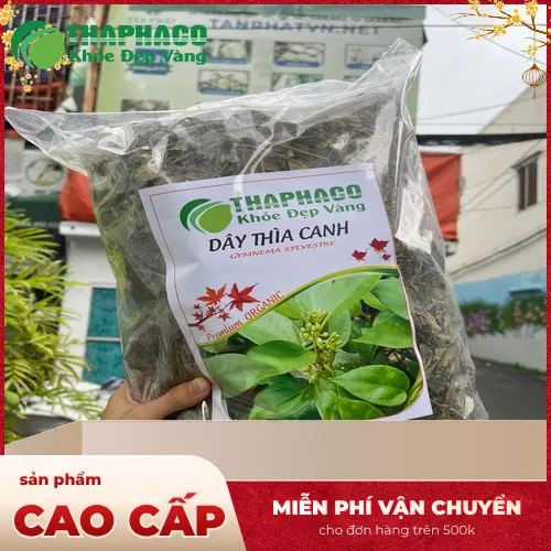 Pha trà Dây Thìa Canh đúng cách
