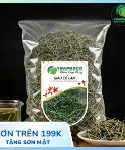 Địa Chỉ Bán Giảo Cổ Lam Khô Tại TP.HCM - Uy Tín, Giá Tốt