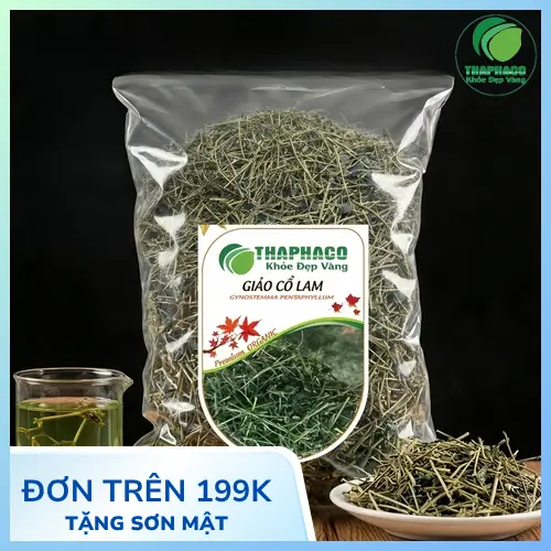 Giảo Cổ Lam khô THAPHACO chất lượng
