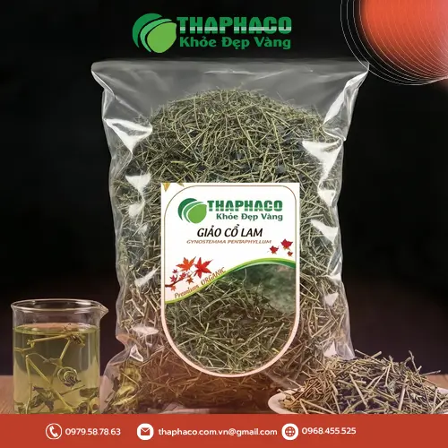 Hình ảnh cây Giảo Cổ Lam tự nhiên