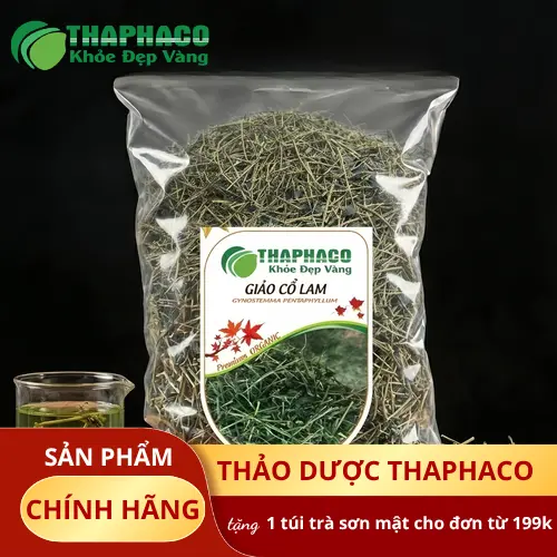 Giảo Cổ Lam khô nguyên chất tại THAPHACO