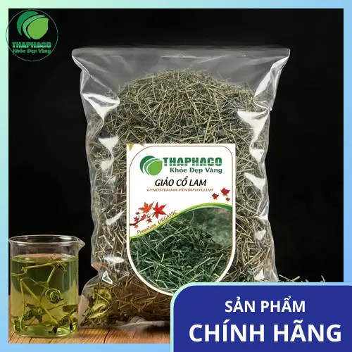 Hình ảnh tổng quan cây Giảo Cổ Lam tươi
