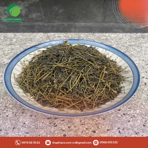Công dụng hỗ trợ sức khỏe của Giảo Cổ Lam