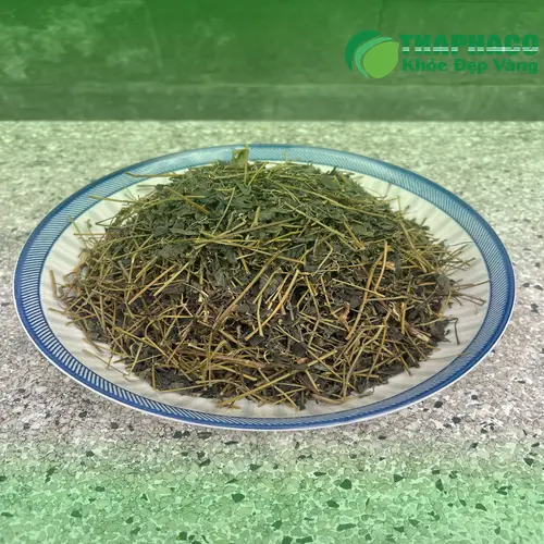 Hình ảnh pha trà Giảo Cổ Lam