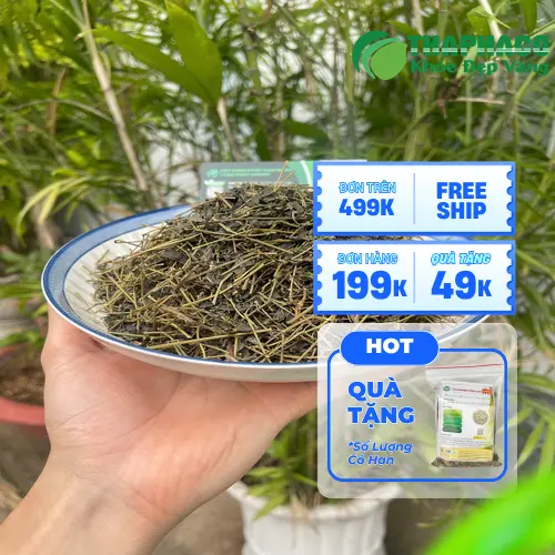 Trẻ em và phụ nữ mang thai cần tránh Giảo Cổ Lam