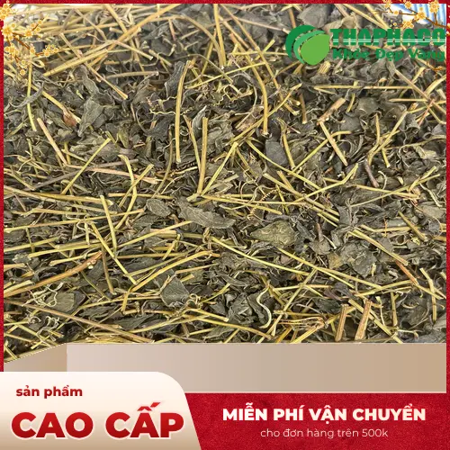 Quy trình kiểm soát chất lượng Giảo Cổ Lam tại THAPHACO
