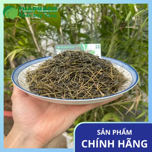 Cách sử dụng Giảo Cổ Lam an toàn