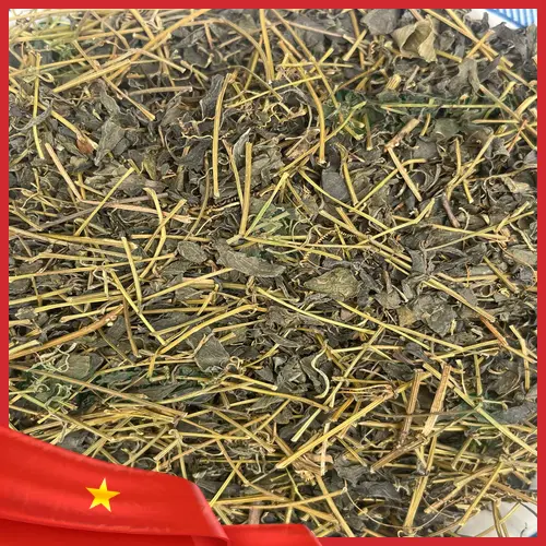 Hình ảnh cốc trà Giảo Cổ Lam