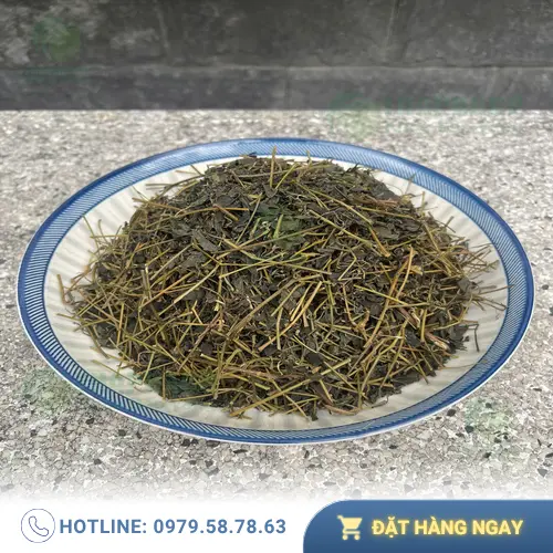 Công dụng hỗ trợ của Giảo Cổ Lam THAPHACO