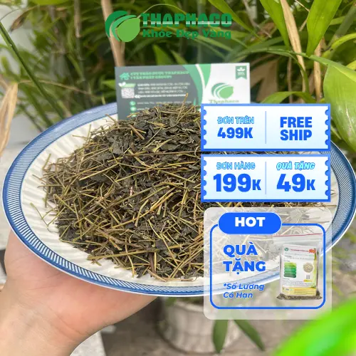 Giảo Cổ Lam khô chất lượng