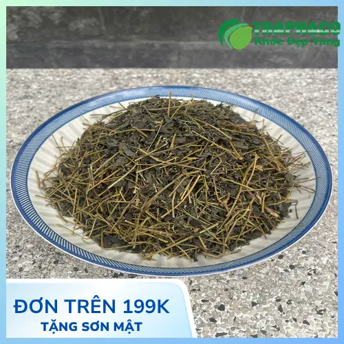 Mua Giảo Cổ Lam uy tín tại THAPHACO