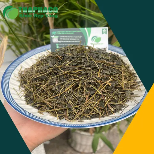 Mua Giảo Cổ Lam THAPHACO tại TP.HCM