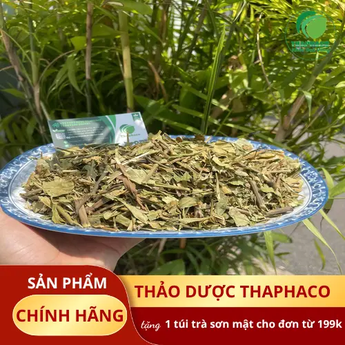 Lá Hoàn Ngọc sau khi thu hái và sơ chế