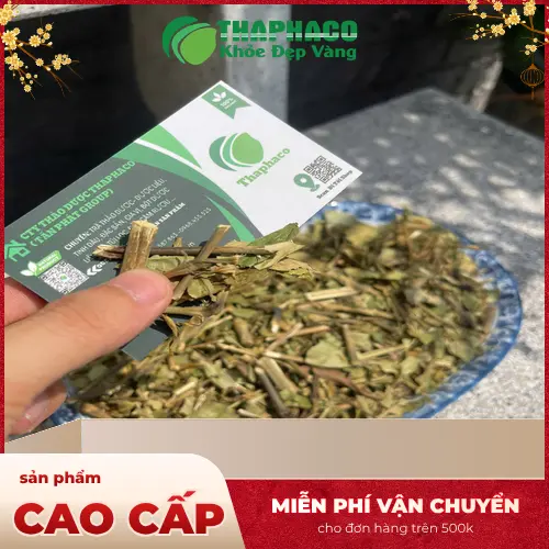 Địa chỉ THAPHACO tại Gò Vấp, TP.HCM, dễ dàng tìm đến để mua Hoàn Ngọc khô.