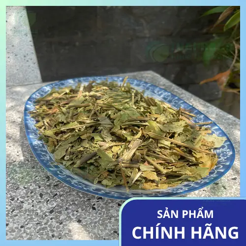 Cây Hoàn Ngọc đỏ
