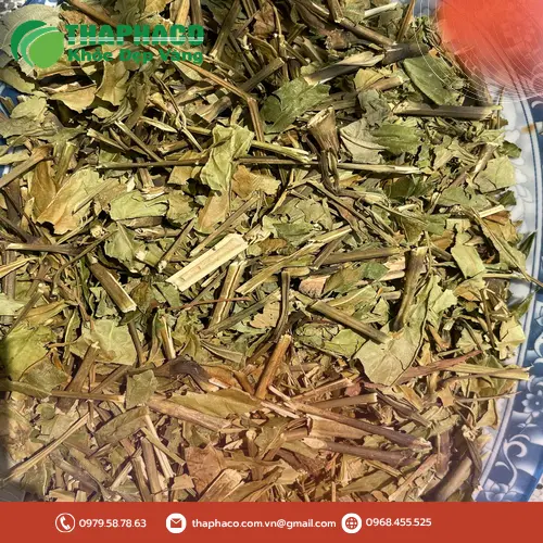 Sản phẩm lá Hoàn Ngọc khô chất lượng từ THAPHACO