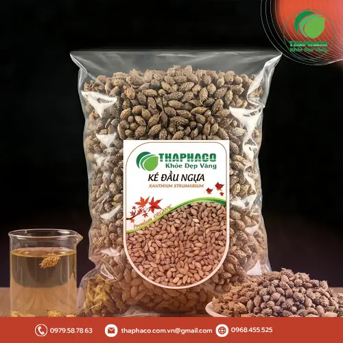 Hình ảnh cây Ké Đầu Ngựa mọc tự nhiên