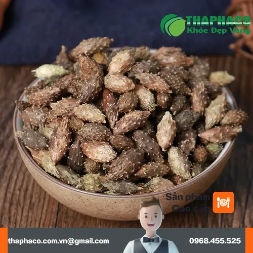 Tư vấn bác sĩ trước khi dùng ké đầu ngựa