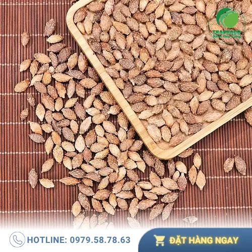 Sắc nước ké đầu ngựa