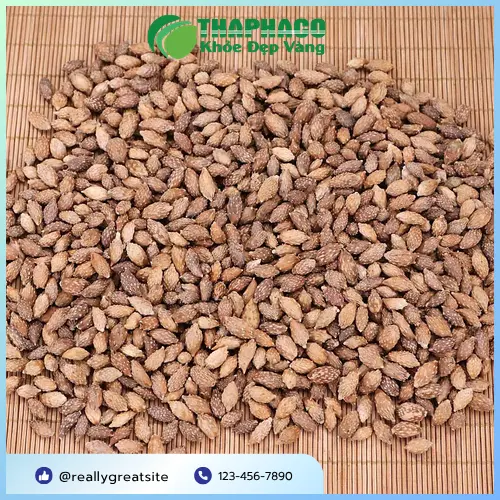Ké Đầu Ngựa khô được đóng gói tại THAPHACO
