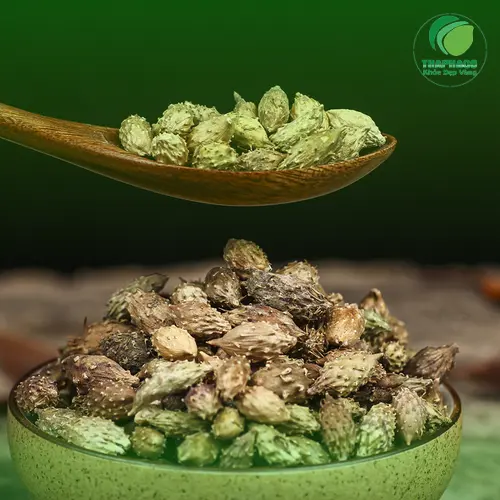Sức khỏe mẹ bầu và thai nhi là ưu tiên hàng đầu
