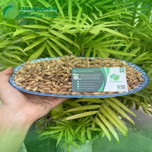 Sản phẩm ké đầu ngựa khô tại THAPHACO