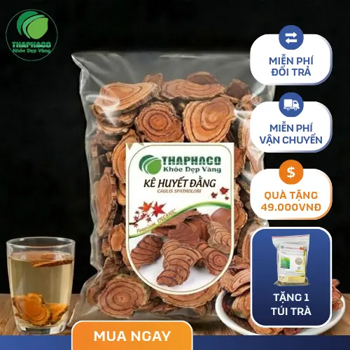 Hình ảnh cây Kê Huyết Đằng