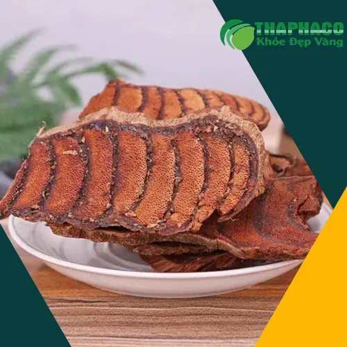 Kê huyết đằng loại 1 khô ráo, dễ bẻ nhưng không vụn nát