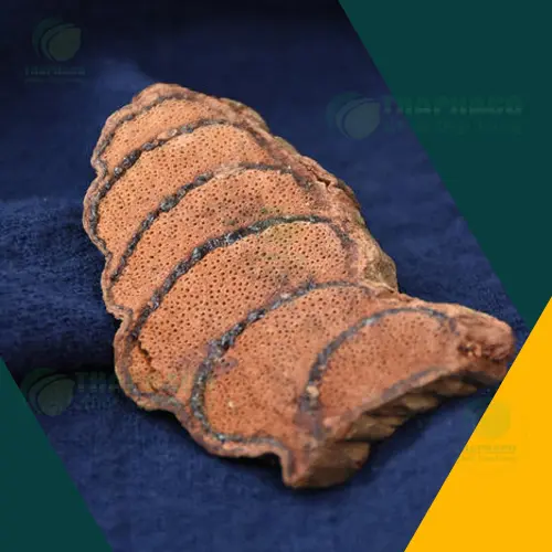 Tác dụng phụ của Kê Huyết Đằng khi dùng sai cách