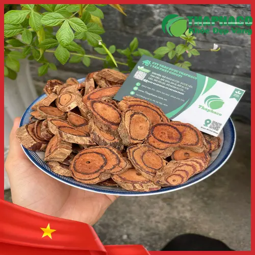 Cách dùng Kê Huyết Đằng an toàn