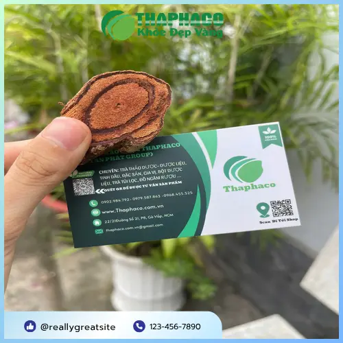 Mua Kê Huyết Đằng chất lượng tại THAPHACO