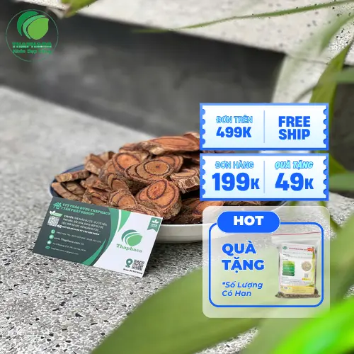 Kê Huyết Đằng chất lượng tại THAPHACO