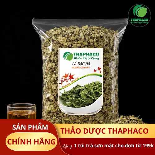 Hình ảnh lá bạc hà tươi và khô