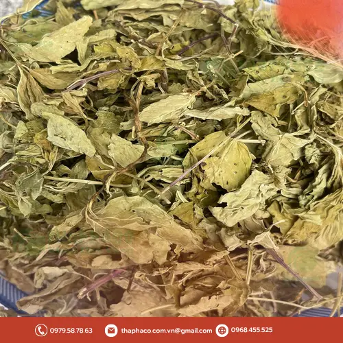 Hình ảnh một người phụ nữ đang cầm cốc trà bạc hà
