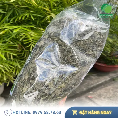 Lá bạc hà khô được bảo quản trong lọ thủy tinh