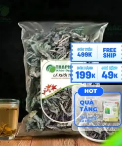 Mua Lá Khôi Tía Khô Ở Đâu Uy Tín, Chất Lượng Tại TP.HCM?