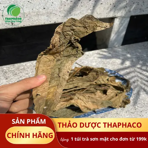 Quy trình sơ chế Lá Khôi Tía khô tại THAPHACO