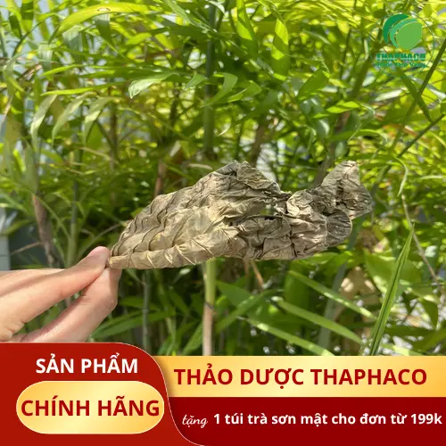 Cách dùng Lá Khôi Tía khô hiệu quả