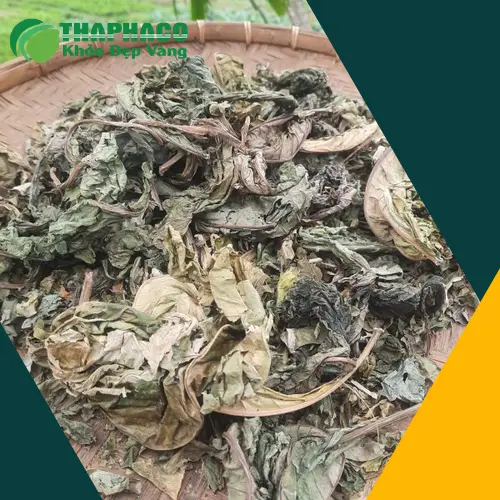 Lá Khôi Tía khô THAPHACO chất lượng cao